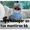 gatito lindo  ️ 13