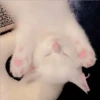 Gatitos Miiiaw 2 8