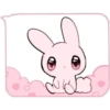 Pink y Pinkbunny    Clásica 8