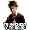 TE HECHIZO
Y TE DEJO