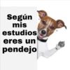Según
mis
estudios
eres un
pendejo