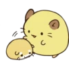 Chinese Hamsters   (C) 12