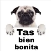 Tas
bien
bonita