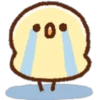 Pollito kawaii 17
