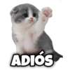 ADIÓS