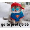 gatito lindo  ️ 17
