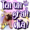 Dog & Frases    C☆ 20