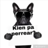 Kien pa
perrear?
Ⓒpixers