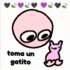 toma un
gatito