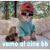gatito lindo  ️ 19