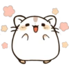 Chinese Hamsters   (C) 16