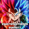 Dragon ball Z  2 19