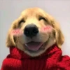 MI
