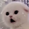 V L