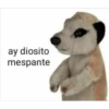 Peluches fraseados 1👆👅 21