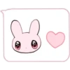 Pink y Pinkbunny    Clásica 15