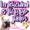 Dog & Frases    C☆ 22