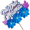 Geliz Diay Mama
