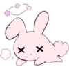 Pink y Pinkbunny    Clásica 16