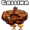 GALLINA