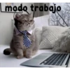 gatito lindo  ️ 20