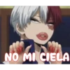 NO MI CIELA