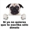 Si ya no quieres
que te escriba sólo
dímelo