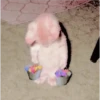 Gatitos Miiiaw 26