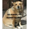 no puedo, mi
madre no dejó