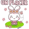 UN PLACER
3
(C
oooooo
@lexa