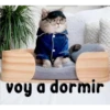 gatito lindo  ️ 23