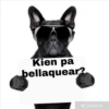 Kien pa
bellaquear?
@pixers