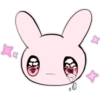 Pink y Pinkbunny    Clásica 18