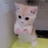 Gatitos Miiiaw 28