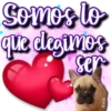 Dog & Frases    C☆ 26