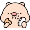PiG CoMeLóN 23
