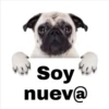 N
Soy for
nuev@