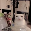ODKA Fre Time t MENING TO