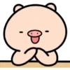 PiG CoMeLóN 24