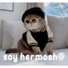 gatito lindo  ️ 30