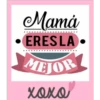 Feliz dia mamita 5
