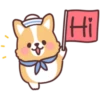 Corgi summer 5