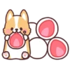 Corgi desserts 5
