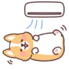 Corgi summer 6