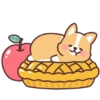 Corgi desserts 6