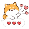 Shiba dogs 5