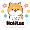 Shiba dogs 6