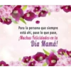 Feliz día Mamis  1 Movi 5