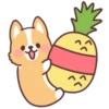 Corgi summer 7