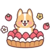 Corgi desserts 7